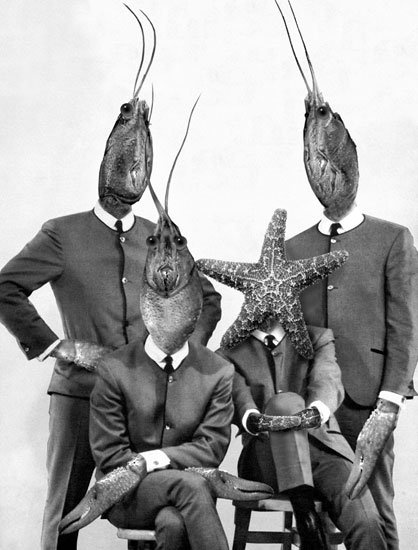 File:Crawfish2.jpg
