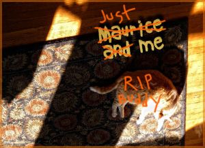 Mauriceandmeripbuddyheader.jpg
