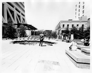 Redwood, 1972.jpg