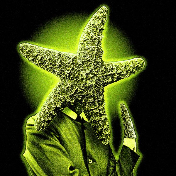 File:Ringostarfish.jpg