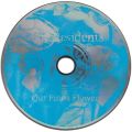 Disc art