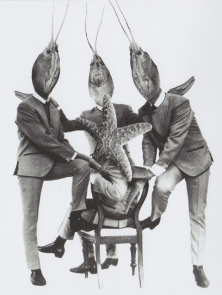 File:Mtr-crayfish2.png