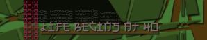 Bog-lifebeginsat40-header.jpg