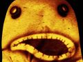 Thumbnail for version as of 09:48, 11 December 2025