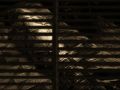 Thumbnail for version as of 09:47, 11 December 2025