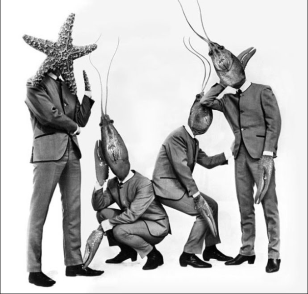 File:Crayfish04.png