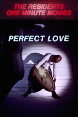 Perfect Love Poster.png