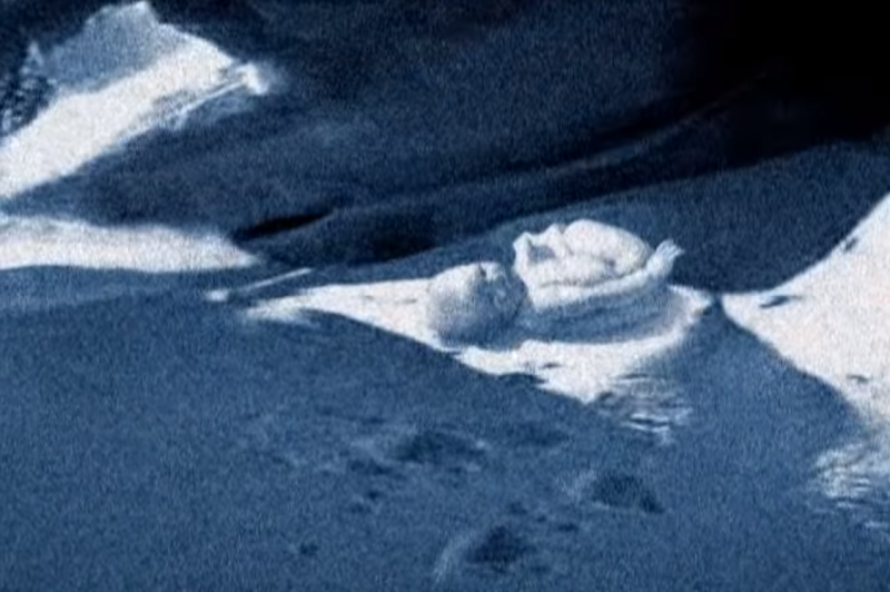 File:Eskimobirthstill.png