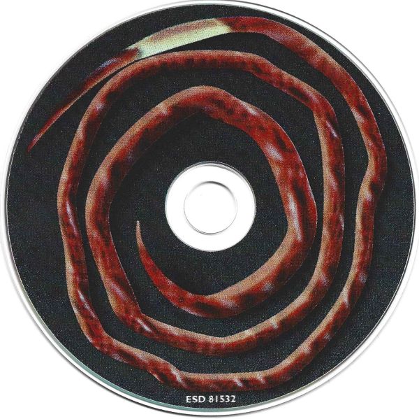 File:Roadworms disc.jpg