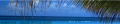 Thumbnail for version as of 09:50, 11 December 2025