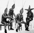 The Crayfish Beatles, from the 2003 reissue