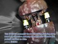 Thumbnail for version as of 09:50, 11 December 2025