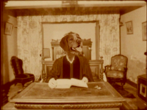Loneliness COM DVD.png