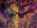 Thumbnail for version as of 09:51, 11 December 2025